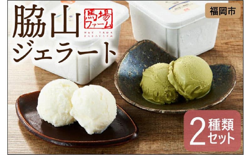 脇山ジェラート2種類セット