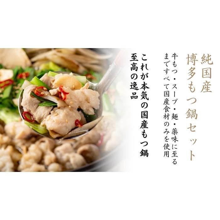 【純国産】博多もつ鍋セット (2~3人前)<醤油味>