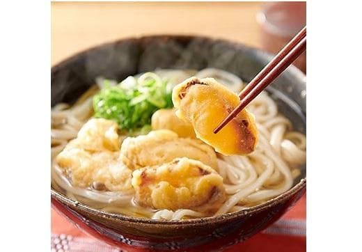 博多ごぼう天うどん 10食セット【一部離島配送不可】