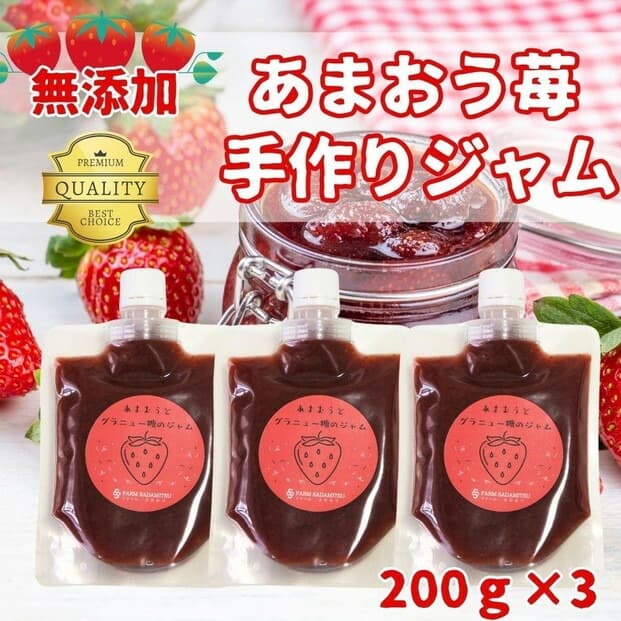 いちごジャム あまおうとグラニュー糖のジャム 200g×3袋 手作り 国産 チューブ パウチ入り