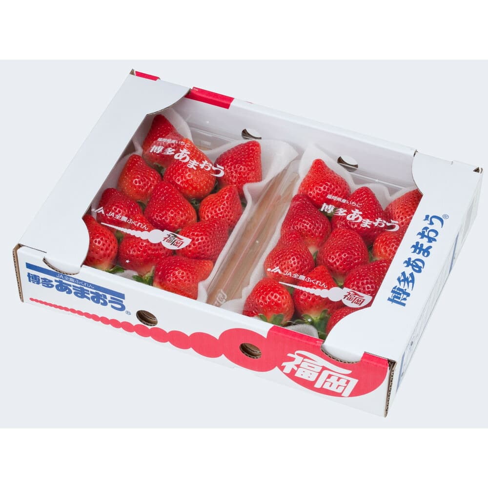 【数量限定】<2026年12月発送>博多あまおう 約250g×4