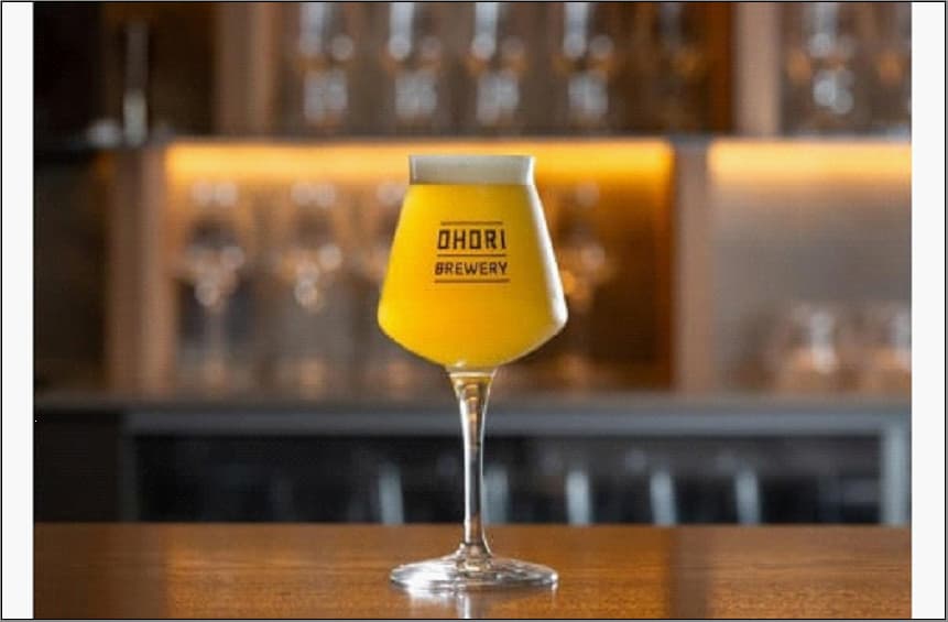 【福岡市内製造】大濠ブルワリー OHORI SOUR 缶ビール 350ml×6缶セット