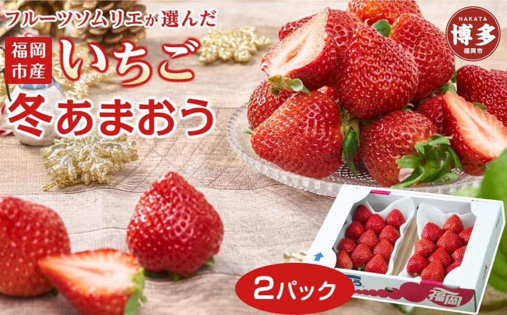 フルーツソムリエが選んだ 福岡県産冬あまおう2パック※一部離島不可【1パックあたり250g】