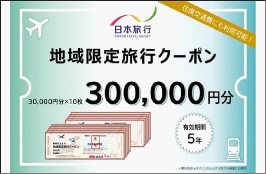 【どこでも納税限定】福岡県福岡市 日本旅行 地域限定旅行クーポン300,000円分(発券なし)TiS広島店