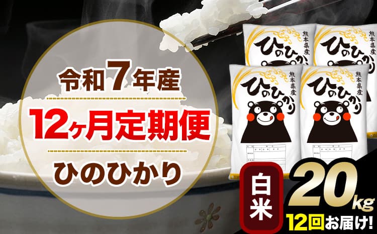 令和7年産【12ヶ月定期便】白米 ひのひかり 20kg 5kg×4袋《お申込み翌月から出荷》 人気米 熊本県産米 お米 生活応援米 ---hn7tei_486000_20kg_mo12_mna_h---