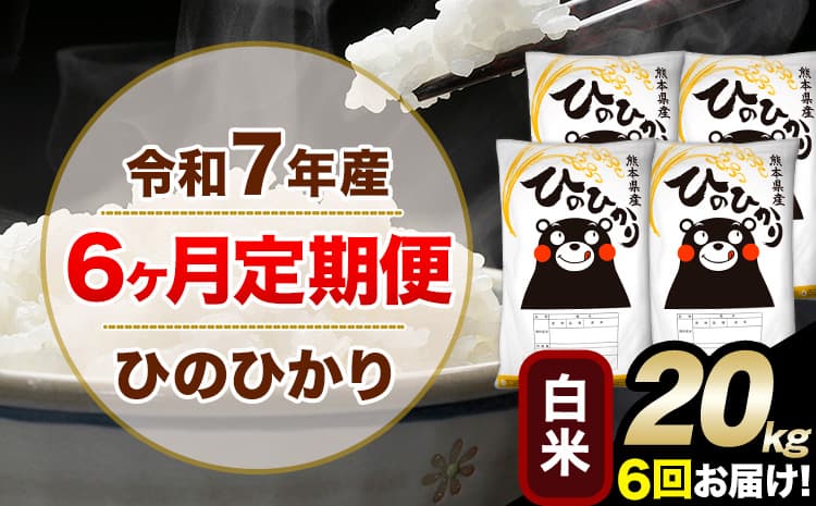 令和7年産 【6ヶ月定期便】白米 ひのひかり 20kg 5kg×4袋《お申込み翌月から出荷》 人気米 熊本県産米 お米 生活応援米 ---hn7tei_243000_20kg_mo6_mna_h---