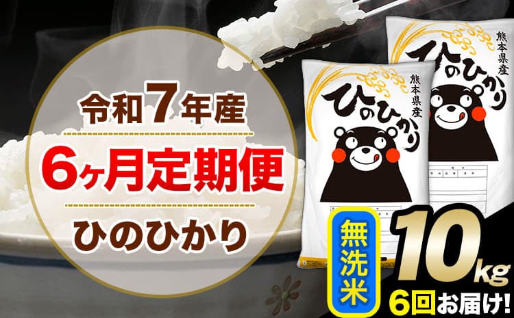 令和7年産 【6ヶ月定期便】 無洗米 ひのひかり 10kg 5kg×2袋《お申込み翌月から出荷》 人気米 熊本県産米 お米 生活応援米 ---hn7tei_123000_10kg_mo6_mna_m---