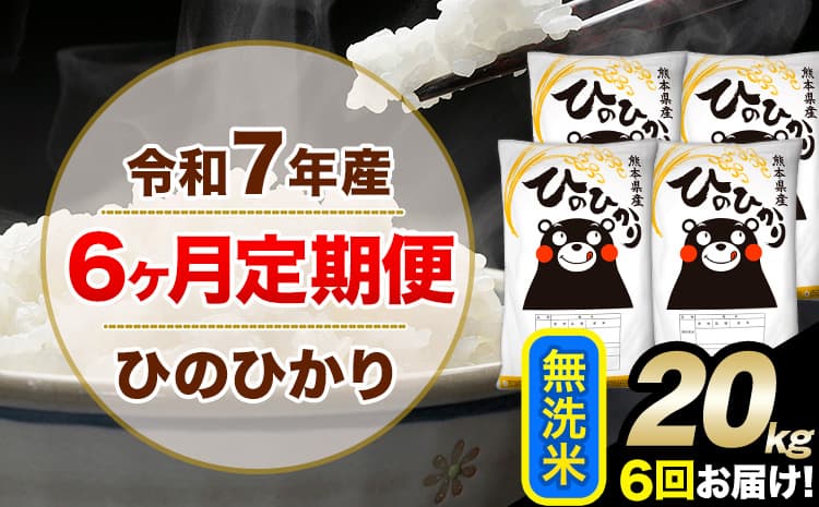 令和7年産 【6ヶ月定期便】無洗米 ひのひかり 20kg 5kg×4袋《お申込み翌月から出荷》 人気米 熊本県産米 お米 生活応援米 ---hn7tei_243000_20kg_mo6_mna_m---
