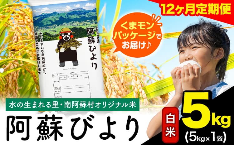 【12ヶ月定期便】阿蘇びより 白米 5kg (5kg×1袋)《お申込み翌月から出荷》 |国産米 人気米 熊本県産米 お米---mna_abytei_5kg_114000_mo12_h---