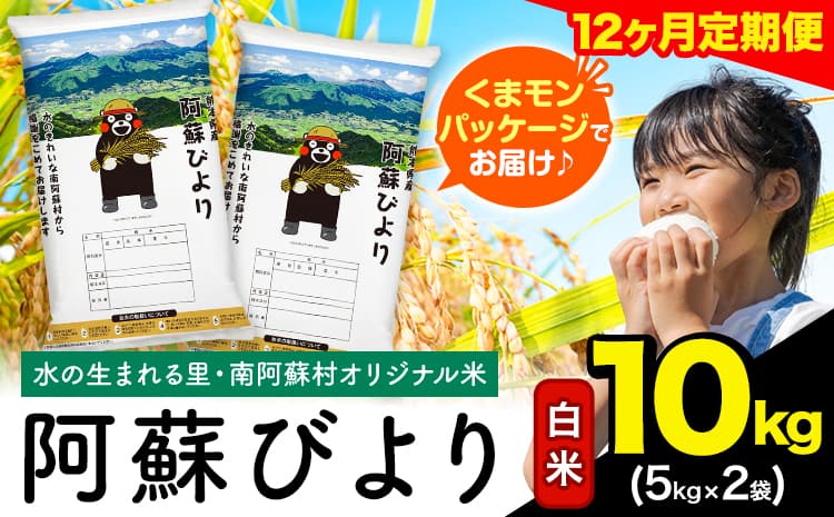 【12ヶ月定期便】阿蘇びより 白米 10kg (5kg×2袋)《お申込み翌月から出荷》 |国産米 人気米 熊本県産米 お米---mna_abytei_10kg_222000_mo12_h---
