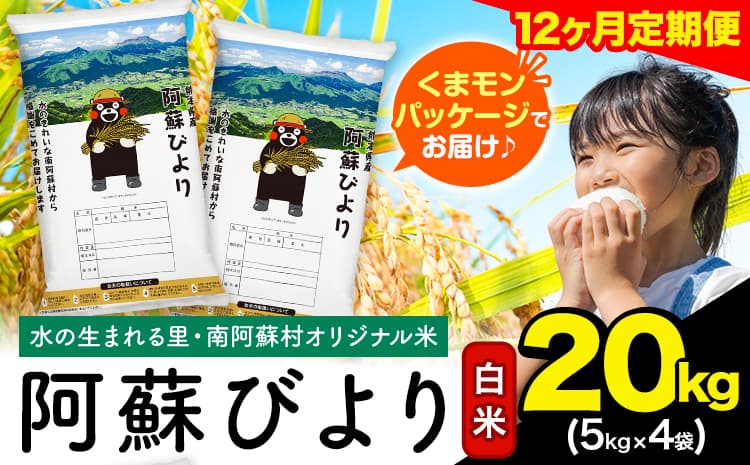 【12ヶ月定期便】阿蘇びより 白米 20kg (5kg×4袋)《お申込み翌月から出荷》 |国産米 人気米 熊本県産米 お米---mna_abytei_20kg_438000_mo12_h---