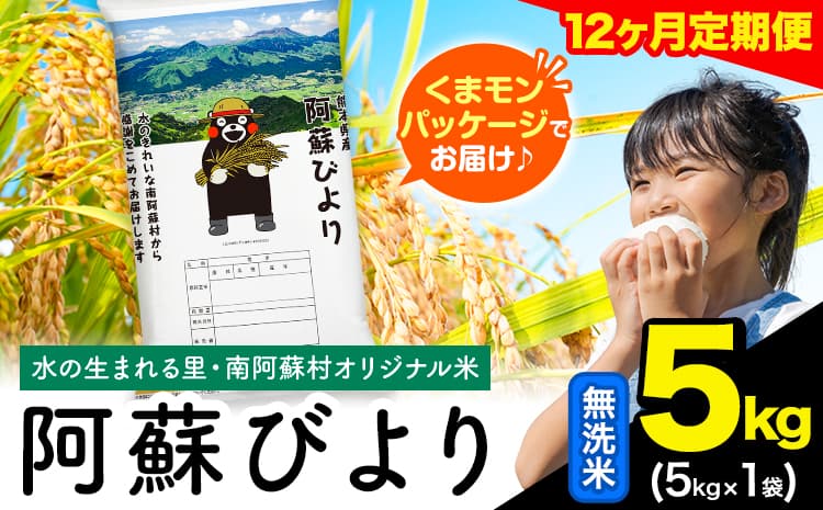 【12ヶ月定期便】阿蘇びより 無洗米 5kg (5kg×1袋)《お申込み翌月から出荷》 |国産米 人気米 熊本県産米 お米---mna_abytei_5kg_114000_mo12_m---