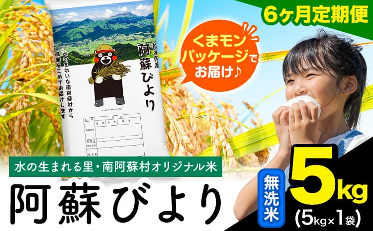 【6ヶ月定期便】阿蘇びより 無洗米 5kg (5kg×1袋)《お申込み翌月から出荷》 |国産米 人気米 熊本県産米 お米---mna_abytei_5kg_57000_mo6_m---