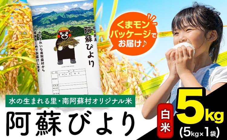白米 阿蘇びより 5kg (5kg×1袋)《12月中旬-2月末頃出荷》 |人気米 熊本県産米 お米 生活応援米---mna_aby_r7_h_5kg_12500_bc122---