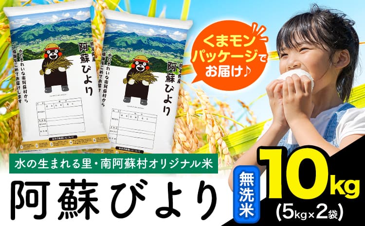 阿蘇びより 無洗米 10kg(5kg×2袋)《1-5日以内に出荷予定(土日祝除く)》 訳あり 米 コメ こめ 熊本県産 米 ふるさと納税 わけあり お米 おこめ 熊本 むせんまい SDGs あそびより kome---mna_aby_r7_m_10kg_16700_s---
