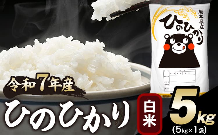令和7年産 ひのひかり 白米 5kg 《1-5日以内に出荷予定(土日祝除く)》 人気米 熊本県産米 お米 生活応援米---mna_hn7_s_9800_5kg_h---