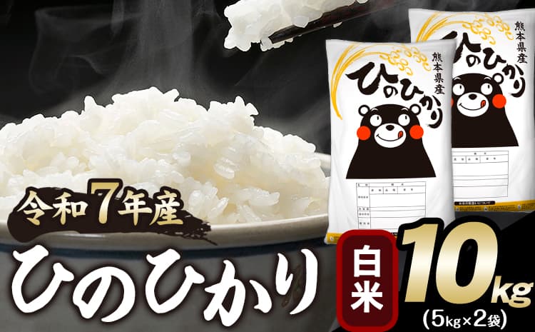 令和7年産 ひのひかり 白米 10kg《1-5日以内に出荷予定(土日祝除く)》人気米 熊本県産米 お米 生活応援米---mna_hn7_s_19500_10kg_h---