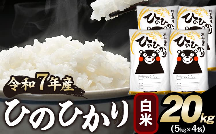 令和7年産 ひのひかり 白米 20kg 《1-5日以内に出荷予定(土日祝除く)》 人気米 熊本県産米 お米 生活応援米---mna_hn7_s_38900_20kg_h---