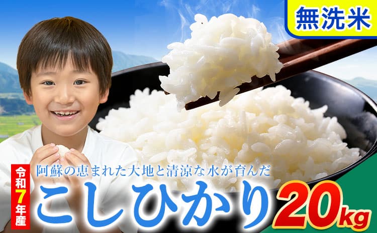 令和7年産 こしひかり 無洗米 20kg 精米 熊本県産(南阿蘇村産含む) 単一原料米 南阿蘇村《1-5日以内に出荷予定(土日祝除く)》---mna_kh7_s_38900_20kg_m---