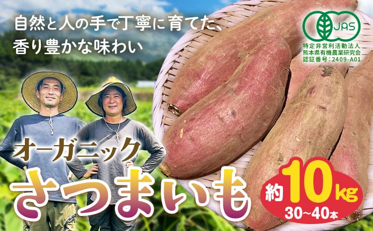 有機JAS認定 オーガニック さつまいも 10kg 農園ベルの樹《12月上旬-3月下旬頃出荷》熊本県 南阿蘇村 さつまいも オーガニック 有機栽培 薩摩芋---sms_blkost_ak123_r7_19500_10kg---