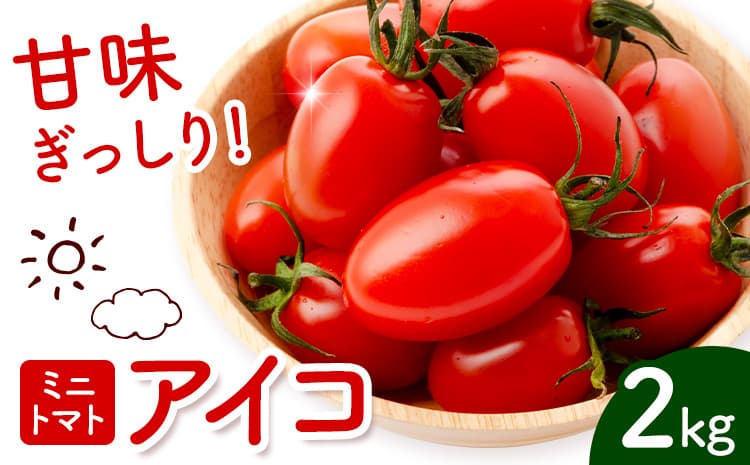 ミニトマト アイコ 約2kg ますだふぁーむ《7月上旬-11月末頃出荷》熊本県 南阿蘇村 アイコトマト 野菜 旬 夏野菜 トマト---sms_msf_af711_r7_11000_2kg---