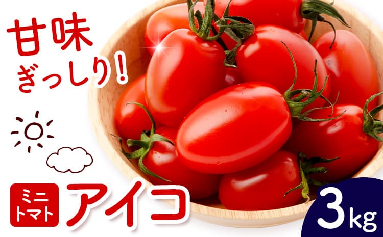 ミニトマト アイコ 約3kg ますだふぁーむ《7月上旬-11月末頃出荷》熊本県 南阿蘇村 アイコトマト 野菜 旬 夏野菜 トマト---sms_msf_af711_r7_13500_3kg---