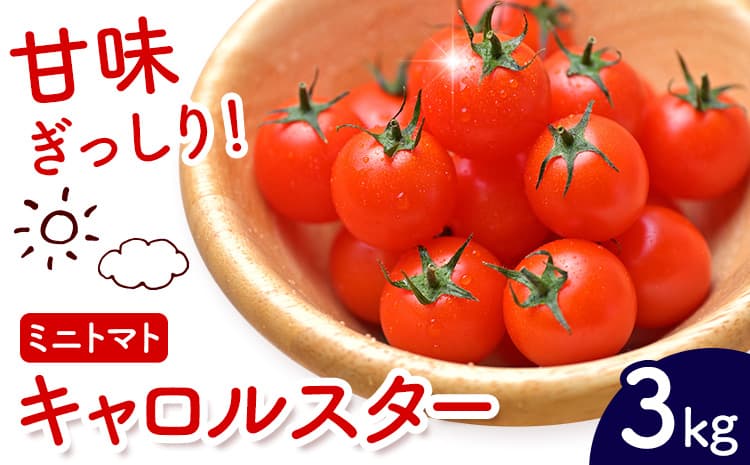 ミニトマト キャロルスター 約3kg ますだふぁーむ《7月上旬-11月末頃出荷》熊本県 南阿蘇村 キャロルスター 野菜 旬 夏野菜 トマト---sms_cmsfmks_af711_26_13500_3kg---