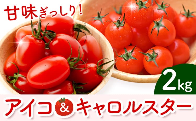 ミニトマト アイコ&キャロルスター 約2kg ますだふぁーむ《7月上旬-11月末頃出荷》熊本県 南阿蘇村 アイコトマト キャロルスター 野菜 旬 夏野菜 トマト---sms_cmsfmak_af711_26_11000_2kg---