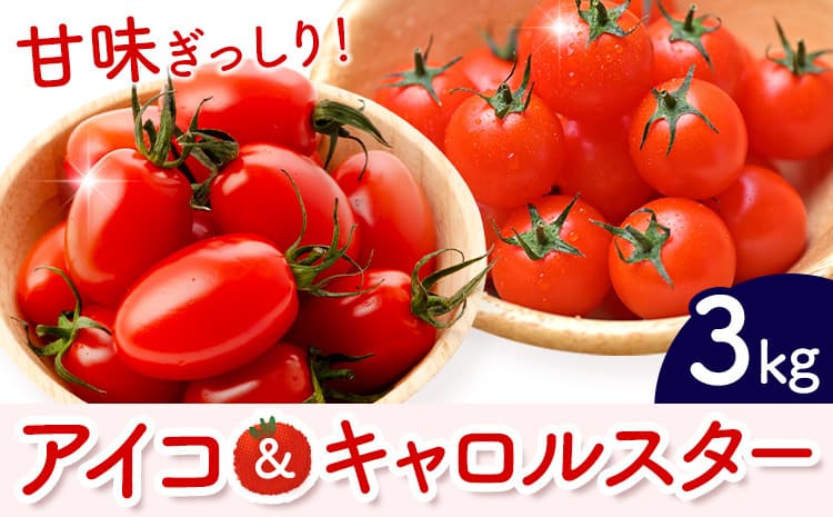 ミニトマト アイコ&キャロルスター 約3kg ますだふぁーむ《7月上旬-11月末頃出荷》熊本県 南阿蘇村 アイコトマト キャロルスター 野菜 旬 夏野菜 トマト---sms_cmsfmak_af711_26_13500_3kg---