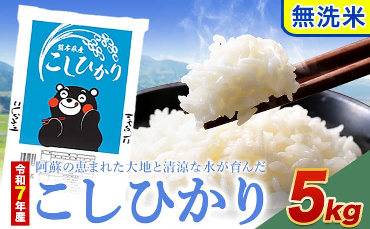 【お米特集】令和7年産 こしひかり 無洗米 5kg 精米 熊本県産(南阿蘇村産含む) 単一原料米 南阿蘇村《《1-5日以内に出荷予定(土日祝除く)》》---mna_kh7_s_9800_5kg_m---