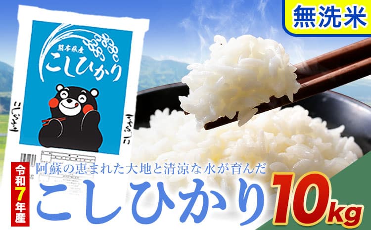 【お米特集】令和7年産 こしひかり 無洗米 10kg 無洗米 精米 熊本県産(南阿蘇村産含む) 単一原料米 南阿蘇村《1-5日以内に出荷予定(土日祝除く)》---mna_kh7_s_19500_10kg_m---