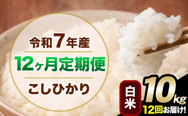 【12ヶ月定期便】令和7年産 定期便 こしひかり 白米 定期便 10kg 5kg×2袋 精米 熊本県産(南阿蘇村産含む) 単一原料米 南阿蘇村《お申込み翌月から出荷》---kh7tei_246000_10kg_mo12_mna_h---