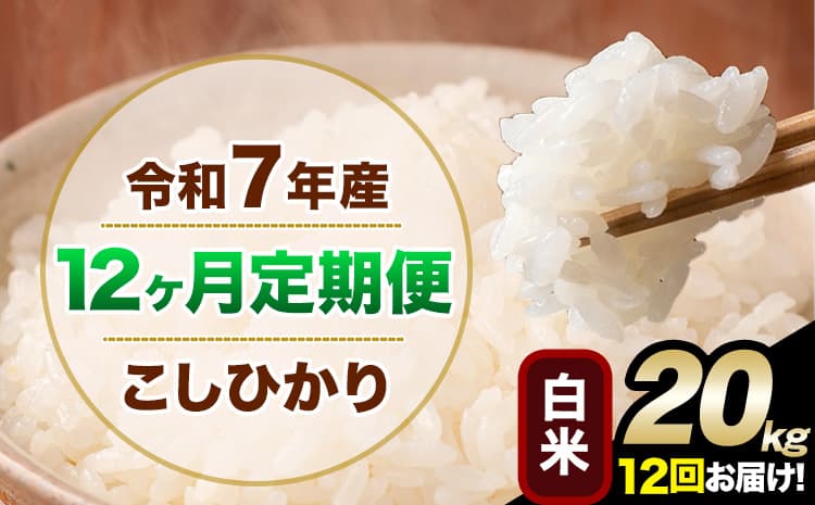 【12ヶ月定期便】令和7年産 定期便 こしひかり 白米 定期便 20kg 5kg×4袋 精米 熊本県産(南阿蘇村産含む) 単一原料米 南阿蘇村《お申込み翌月から出荷》---kh7tei_486000_20kg_mo12_mna_h---