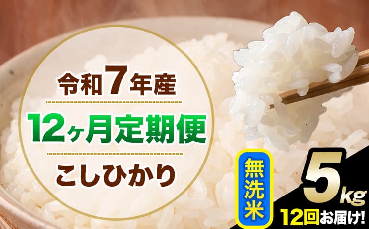 【12ヶ月定期便】令和7年産 定期便 こしひかり 無洗米 定期便 5kg 5kg×1袋 精米 熊本県産(南阿蘇村産含む) 単一原料米 南阿蘇村《お申込み翌月から出荷》---kh7tei_126000_5kg_mo12_mna_m---