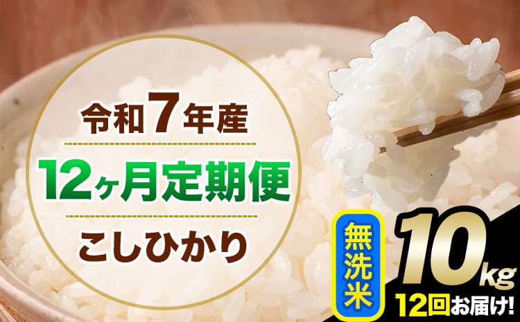 【12ヶ月定期便】令和7年産 定期便 こしひかり 無洗米 定期便 10kg 5kg×2袋 精米 熊本県産(南阿蘇村産含む) 単一原料米 南阿蘇村《お申込み翌月から出荷》---kh7tei_246000_10kg_mo12_mna_m---