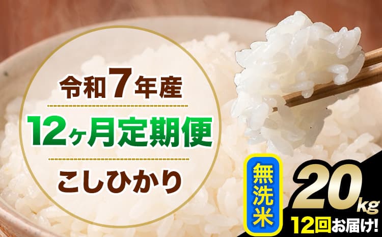 【12ヶ月定期便】令和7年産 定期便 こしひかり 無洗米 定期便 20kg 5kg×4袋 精米 熊本県産(南阿蘇村産含む) 単一原料米 南阿蘇村《お申込み翌月から出荷》---kh7tei_486000_20kg_mo12_mna_m---