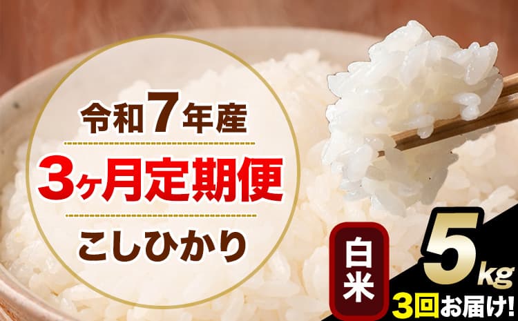 【3ヶ月定期便】令和7年産 定期便 こしひかり 白米 定期便 5kg 5kg×1袋 精米 熊本県産(南阿蘇村産含む) 単一原料米 南阿蘇村《お申込み翌月から出荷》---kh7tei_31500_5kg_mo3_mna_h---