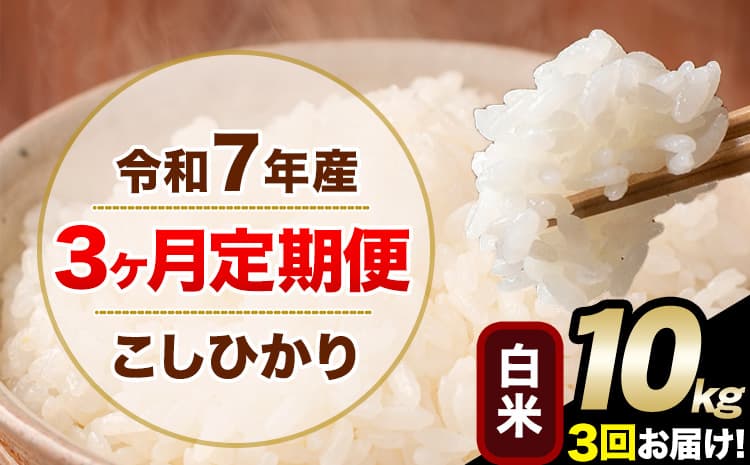 【3ヶ月定期便】令和7年産 定期便 こしひかり 白米 定期便 10kg 精米 熊本県産(南阿蘇村産含む) 単一原料米 南阿蘇村《お申込み翌月から出荷》---kh7tei_61500_10kg_mo3_mna_h---