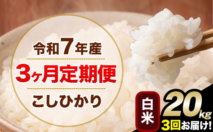 【3ヶ月定期便】令和7年産 定期便 こしひかり 白米 定期便 20kg 5kg×4袋 精米 熊本県産(南阿蘇村産含む) 単一原料米 南阿蘇村《お申込み翌月から出荷》---kh7tei_121500_20kg_mo3_mna_h---