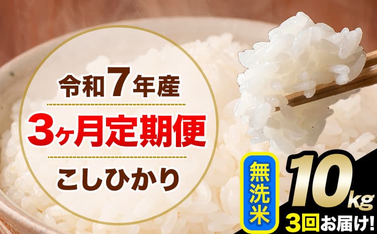 【3ヶ月定期便】令和7年産 定期便 こしひかり 無洗米 定期便 10kg 5kg×2袋 精米 熊本県産(南阿蘇村産含む) 単一原料米 南阿蘇村《お申込み翌月から出荷》---kh7tei_61500_10kg_mo3_mna_m---