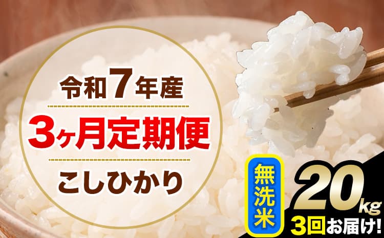 【3ヶ月定期便】令和7年産 定期便 こしひかり 無洗米 定期便 20kg 5kg×4袋 精米 熊本県産(南阿蘇村産含む) 単一原料米 南阿蘇村《お申込み翌月から出荷》---kh7tei_121500_20kg_mo3_mna_m---