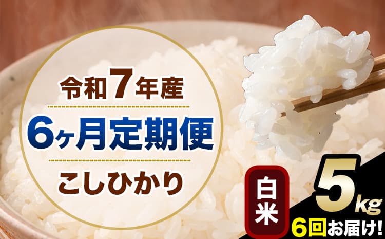 【6ヶ月定期便】令和7年産 定期便 こしひかり 白米 定期便 5kg 5kg×1袋 精米 熊本県産(南阿蘇村産含む) 単一原料米 南阿蘇村《お申込み翌月から出荷》---kh7tei_63000_5kg_mo6_mna_h---