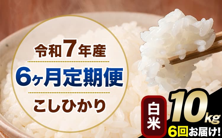 【6ヶ月定期便】令和7年産 定期便 こしひかり 白米 定期便 10kg 5kg×2袋 精米 熊本県産(南阿蘇村産含む) 単一原料米 南阿蘇村《お申込み翌月から出荷》---kh7tei_123000_10kg_mo6_mna_h---