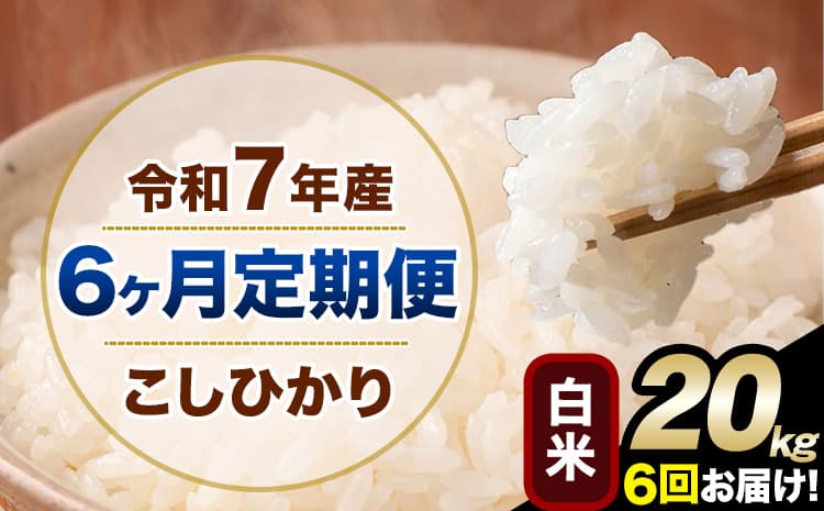 【6ヶ月定期便】令和7年産 定期便 こしひかり 白米 定期便 20kg 5kg×4袋 精米 熊本県産(南阿蘇村産含む) 単一原料米 南阿蘇村《お申込み翌月から出荷》---kh7tei_243000_20kg_mo6_mna_h---