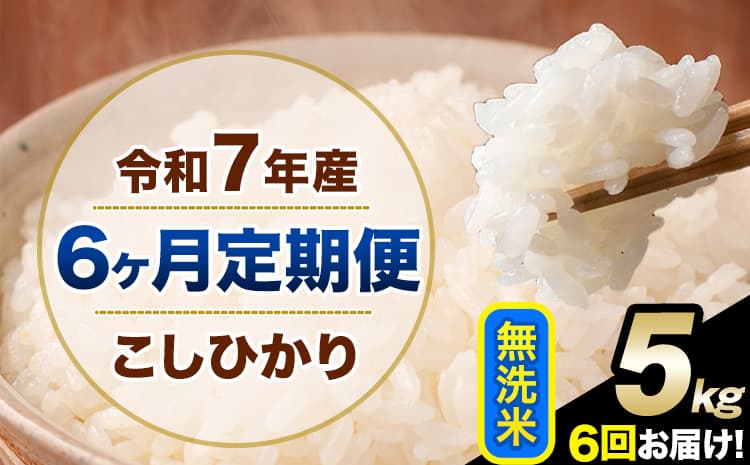 【6ヶ月定期便】令和7年産 定期便 こしひかり 無洗米 定期便 5kg 5kg×1袋 精米 熊本県産(南阿蘇村産含む) 単一原料米 南阿蘇村《お申込み翌月から出荷》---kh7tei_63000_5kg_mo6_mna_m---