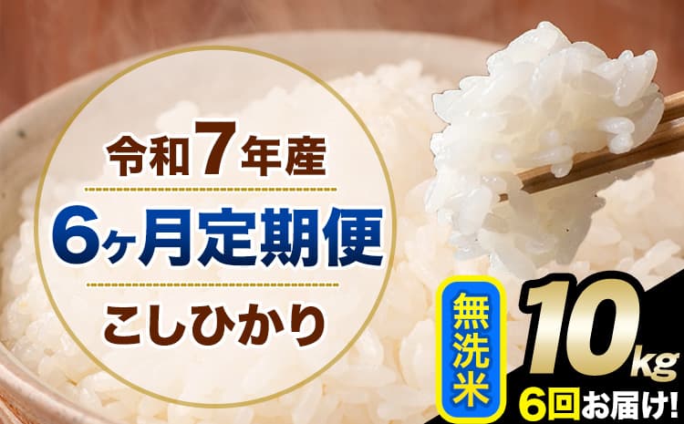 【6ヶ月定期便】令和7年産 定期便 こしひかり 無洗米 定期便 10kg 5kg×2袋 精米 熊本県産(南阿蘇村産含む) 単一原料米 南阿蘇村《お申込み翌月から出荷》---kh7tei_123000_10kg_mo6_mna_m---