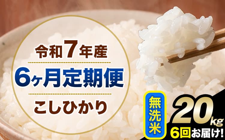 【6ヶ月定期便】令和7年産 定期便 こしひかり 無洗米 定期便 20kg 5kg×4袋 精米 熊本県産(南阿蘇村産含む) 単一原料米 南阿蘇村《お申込み翌月から出荷》---kh7tei_243000_20kg_mo6_mna_m---