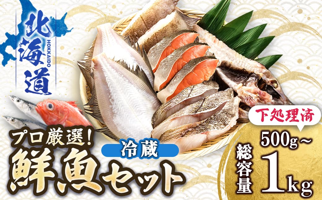 プロ厳選 北海道産 天然 鮮魚セット (冷蔵) 500g~1kg | 鮮魚ボックス 詰め合わせ 鮮魚 生食 刺身 下処理 切り身 料理に 人気 ヒロセ 産地直送 魚介 海鮮 すぐ届く すぐ発送 北海道 釧路町 釧路超