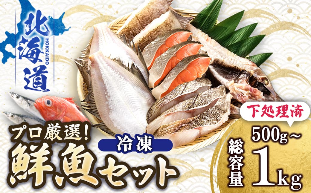 プロ厳選 北海道産 天然 鮮魚セット (冷凍) 500g~1kg | 鮮魚ボックス 詰め合わせ 鮮魚 生食 刺身 下処理 切り身 料理に 人気 ヒロセ 産地直送 魚介 海鮮 すぐ届く すぐ発送 北海道 釧路町 釧路超