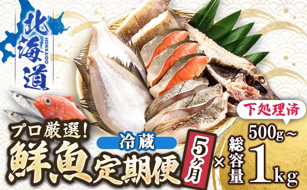 【定期便 5ケ月連続】 お魚の目利きのプロにお任せ!北海道産(国産) 天然 鮮魚 約500g~1kg(釧路の鮮魚セット) 産地直送 冷蔵 冷蔵便 刺身 セット 鮮魚セット 鮮魚ボックス 北海道 釧路町 釧路超 特産品